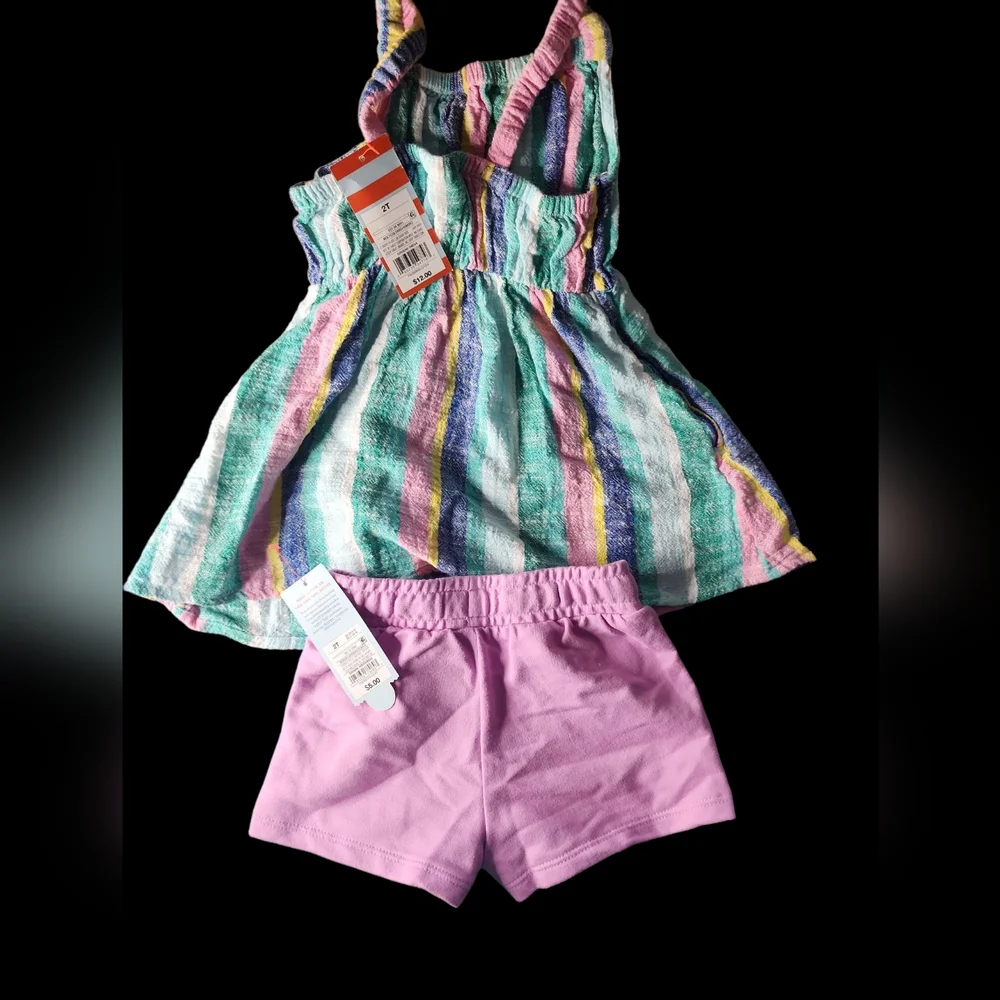 Girls 2T Cat And Jack Striped Dress and Purple Shorts Set NWT